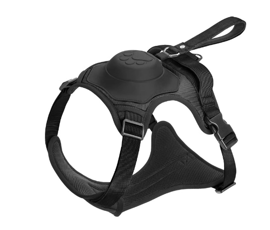 Dog Harness and Retractable Leash Set