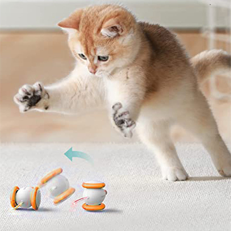 Intelligent Teasing Cat Toy