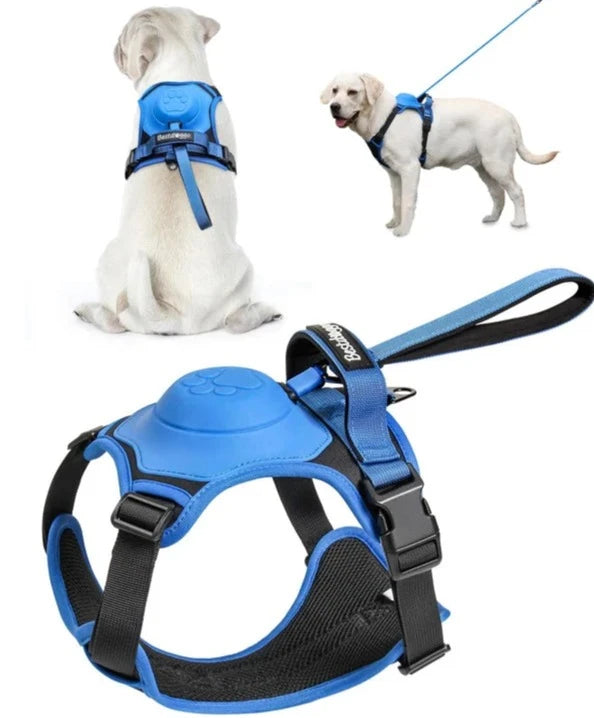 Dog Harness and Retractable Leash Set