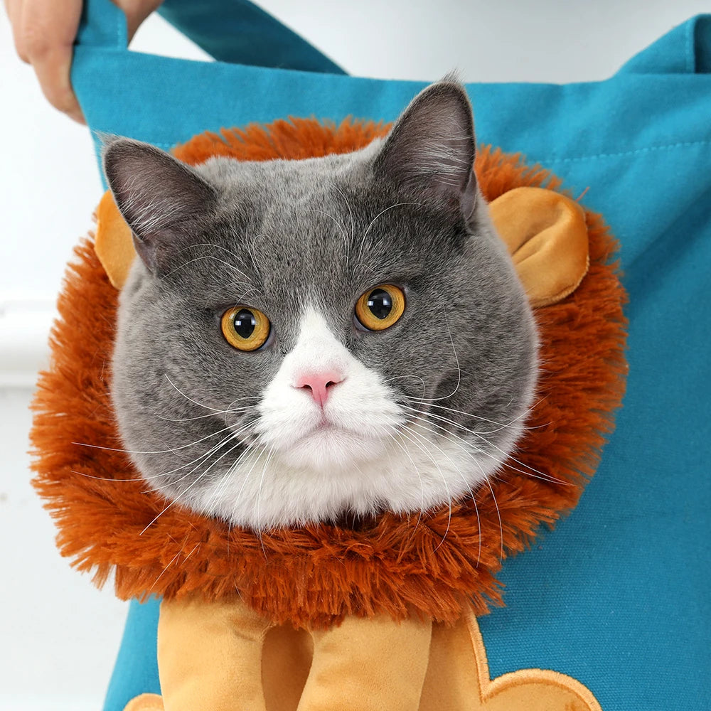 Pet Carriers Lion Design Breathable Bag