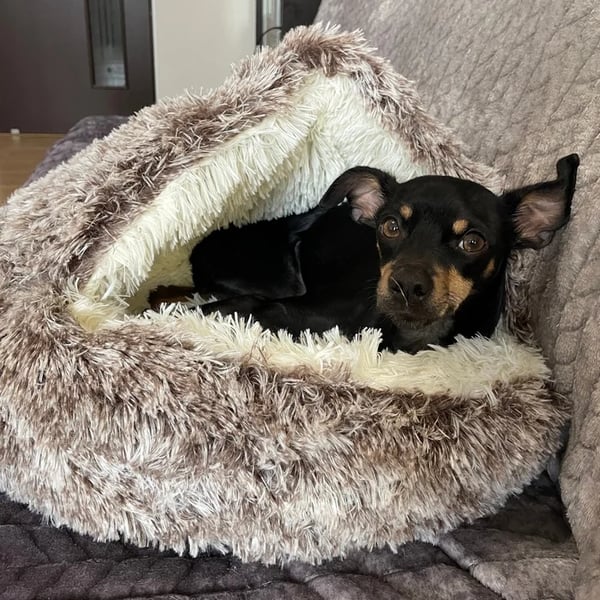 🐶CozyCave😺 - Premium Pet Bed